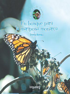 cover image of Un bosque para la mariposa monarca